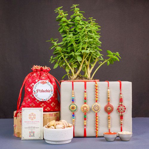 Vibrant Rakhi  N  Wellness Gift Combo